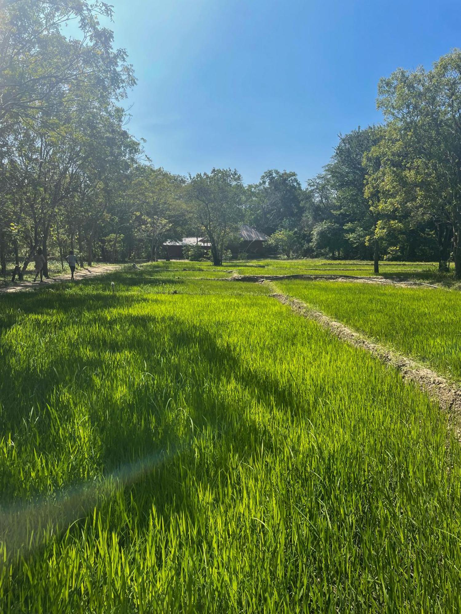 Sahana Retreat Buttala Exterior photo