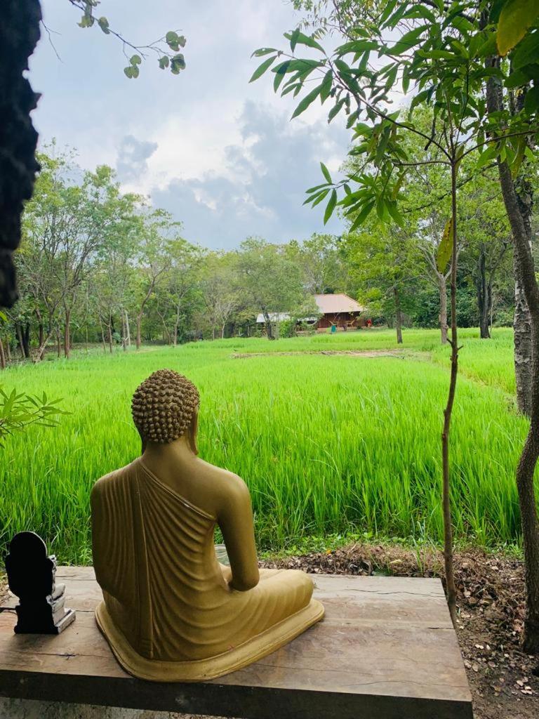 Sahana Retreat Buttala Exterior photo