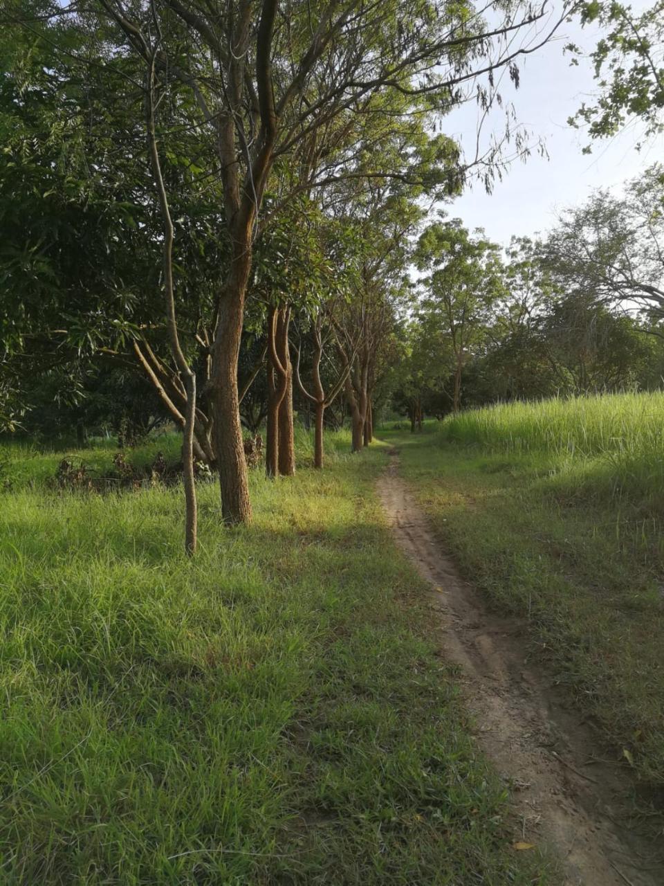 Sahana Retreat Buttala Exterior photo